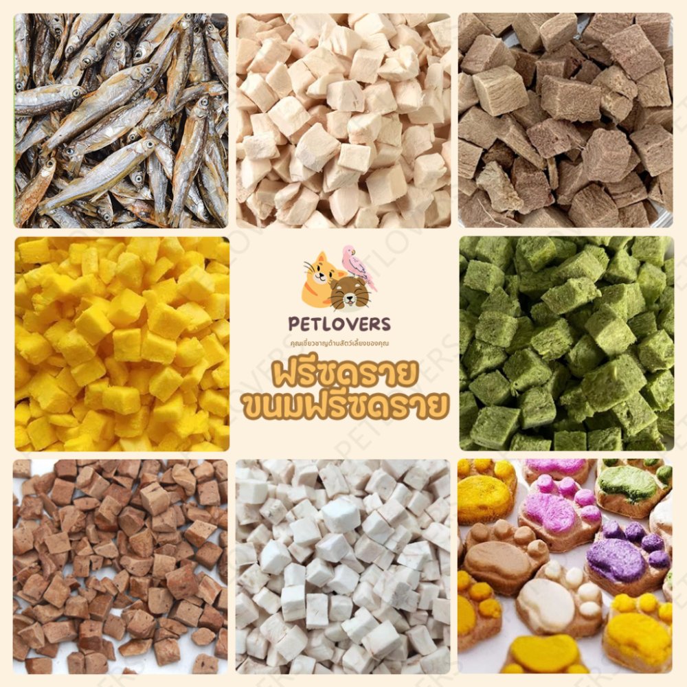 ฟรีซดรายแมว😸🐶อกไก่ฟรีซดราย ขนมแมว ขนมหมา อกไก่แมว Freeze Dried ขนมแมวฟรีซดราย นมแมว ไม่เค็ม
