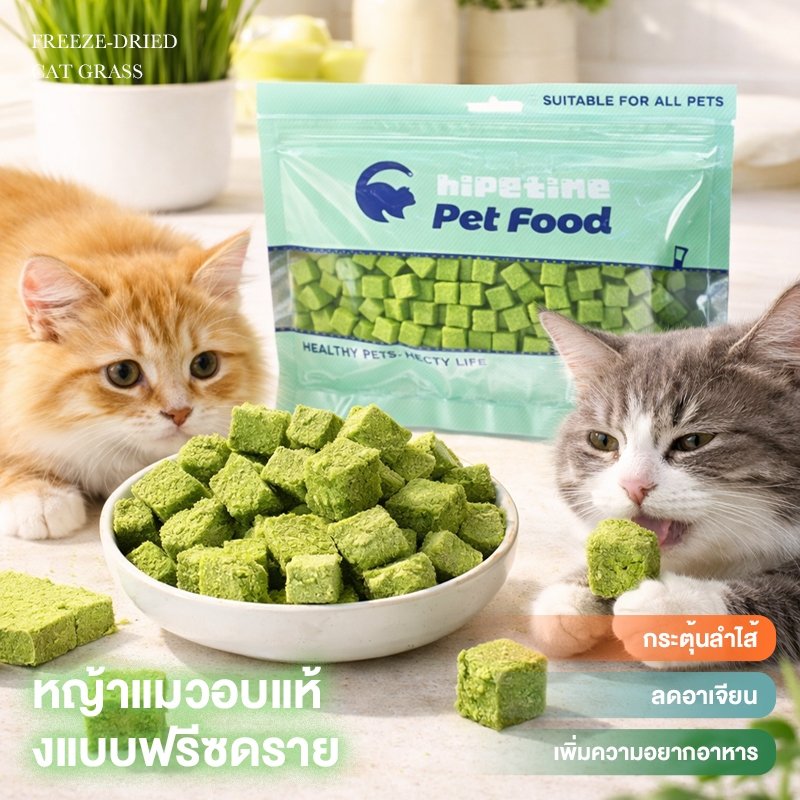 Hipetime หญ้าแมวฟรีซดราย 100g ขนมแมว ช่วยขับก้อนขน บำรุงระบบย่อย อาหารเสริมแมวธรรมชาติ