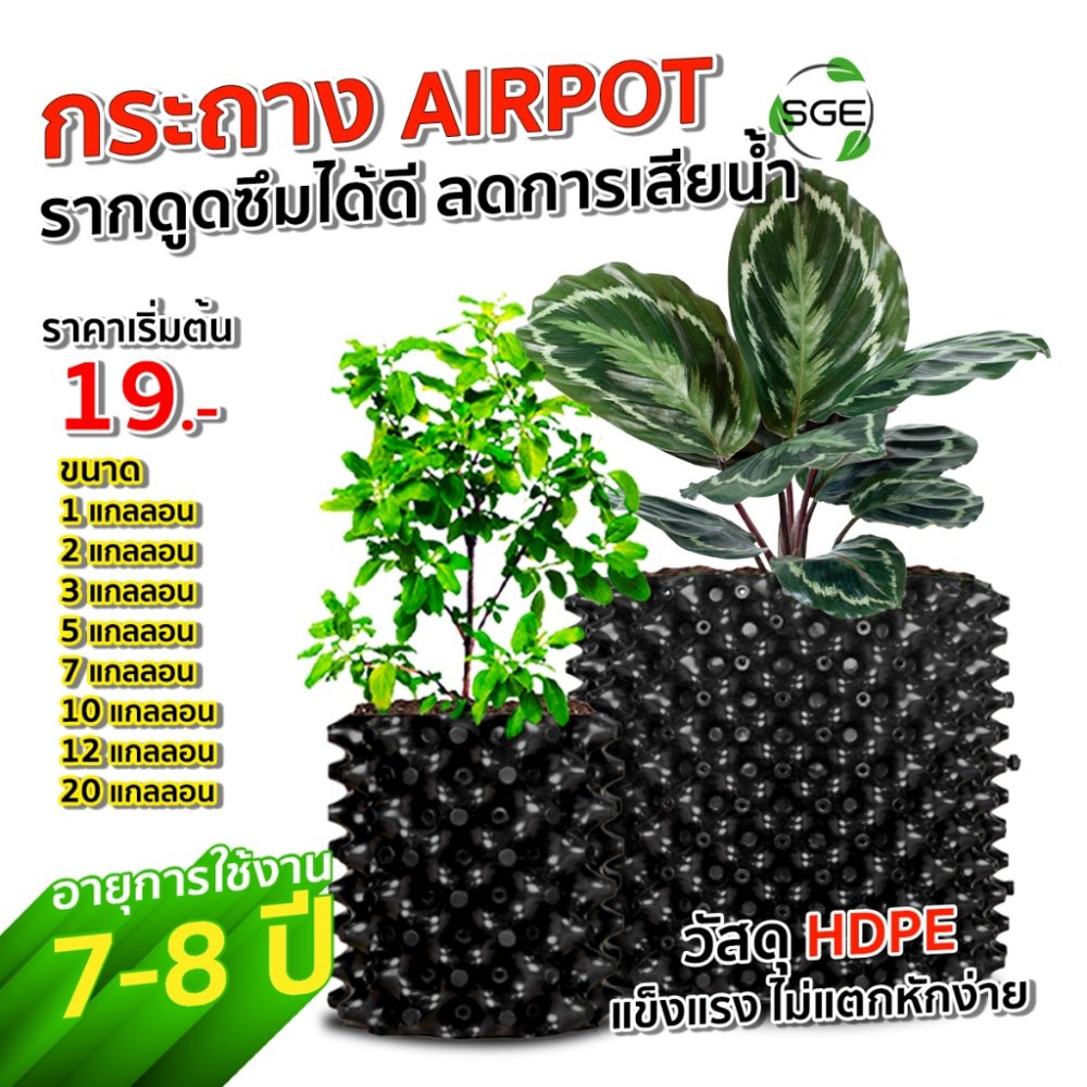 SGE กระถางต้นไม้ กระถางดอกไม้ Air Pot แนะนำสั่งซื้อ 5 ชิ้น ราคาพิเศษ!!!) พลาสติก เกรด HDPE ประกันคุณภาพ