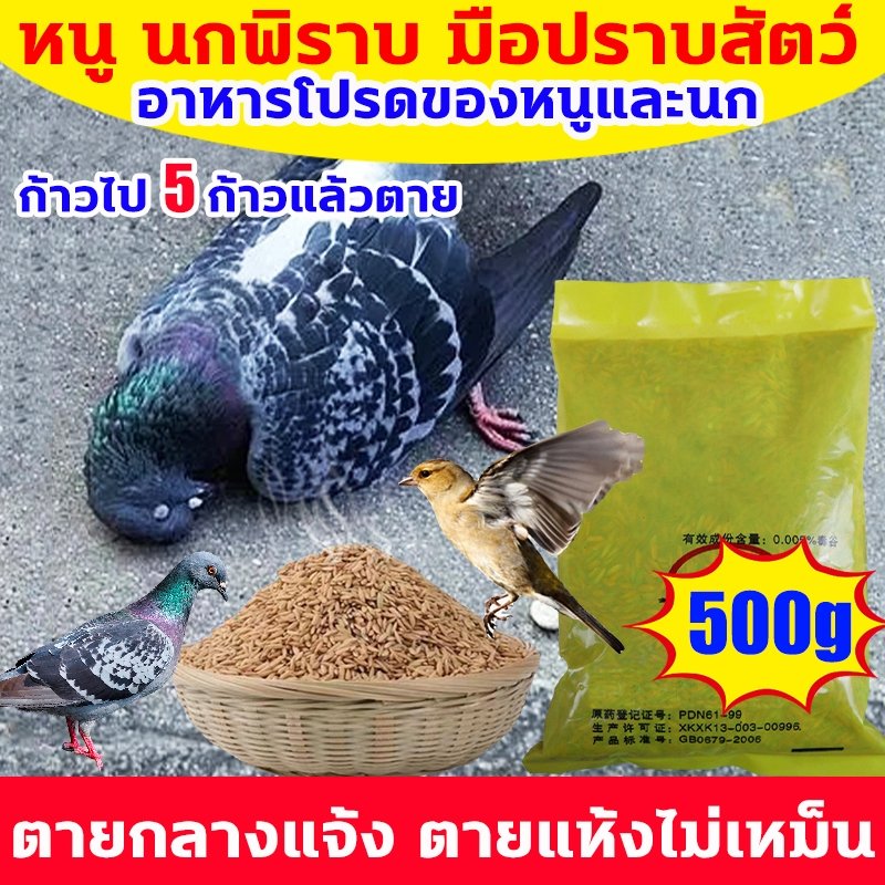 แลนเนท ยาเบื่อนก ยาฆ่านกพิราบ 500กรัม ยากำจัดนกพิราบ ทำลายอวัยวะภายในตายใน 1วัน แห้งเร็วและไม่มีกลิ่น เห็นผลชัวร์ 100%
