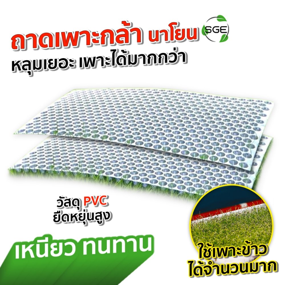 SGE ถาดเพาะกล้า เพาะข้าว นาโย รุ่น GTR แบบใส ป้องกันโรครากเน่า เหนียว ทนทาน ของแท้จาก SGE