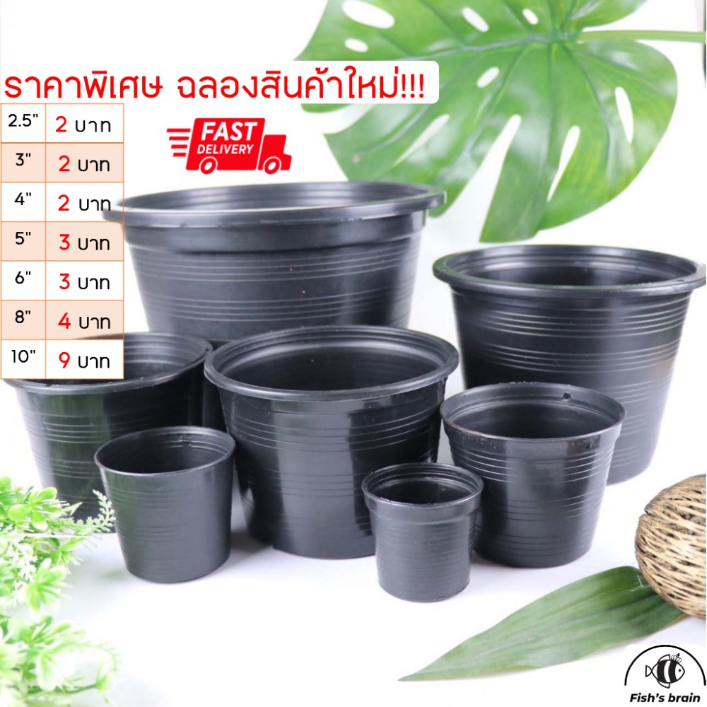 กระถาง 2.5” 3” 4” 5” 6” 8” 11” กระถางต้นไม้พลาสติก กระถางดำ ราคาถูก‼️