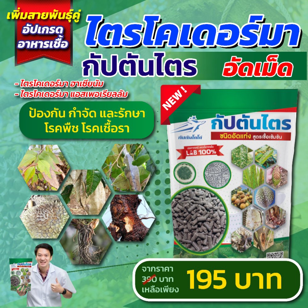 ไตรโคเดอร์มาอัดเม็ด กัปตันไตร สายพันธุ์คู่ สูตรเข้มข้น ขนาด 1 กิโลกรัม