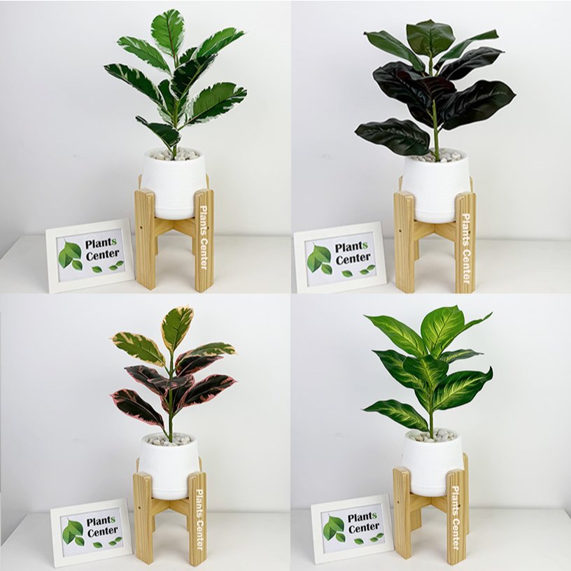 Plants Center P008 ต้นไม้ปลอม 9ใบ สูง 45-55ซม รวมไม้ยอดนิยม ไม้มงคล ตกแต่งบ้าน แต่งสวน