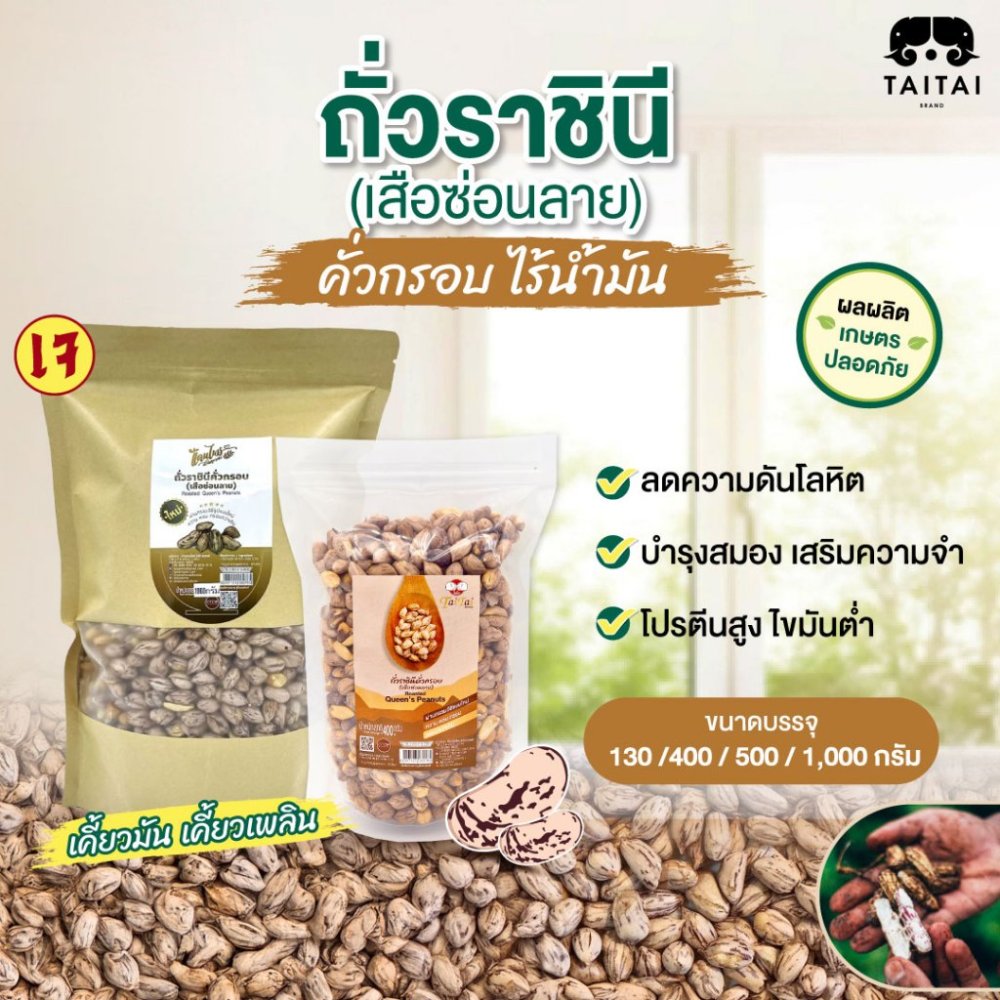 เจ ถั่วซ่อนลาย เมล็ดคัด 100% (ตราไทไทแบรนด์) ไร้น้ำมัน ถั่วเสือซ่อนลาย แม่ฮ่องสอน กรอบมาก หอมมัน กรอบทุกเม็ด