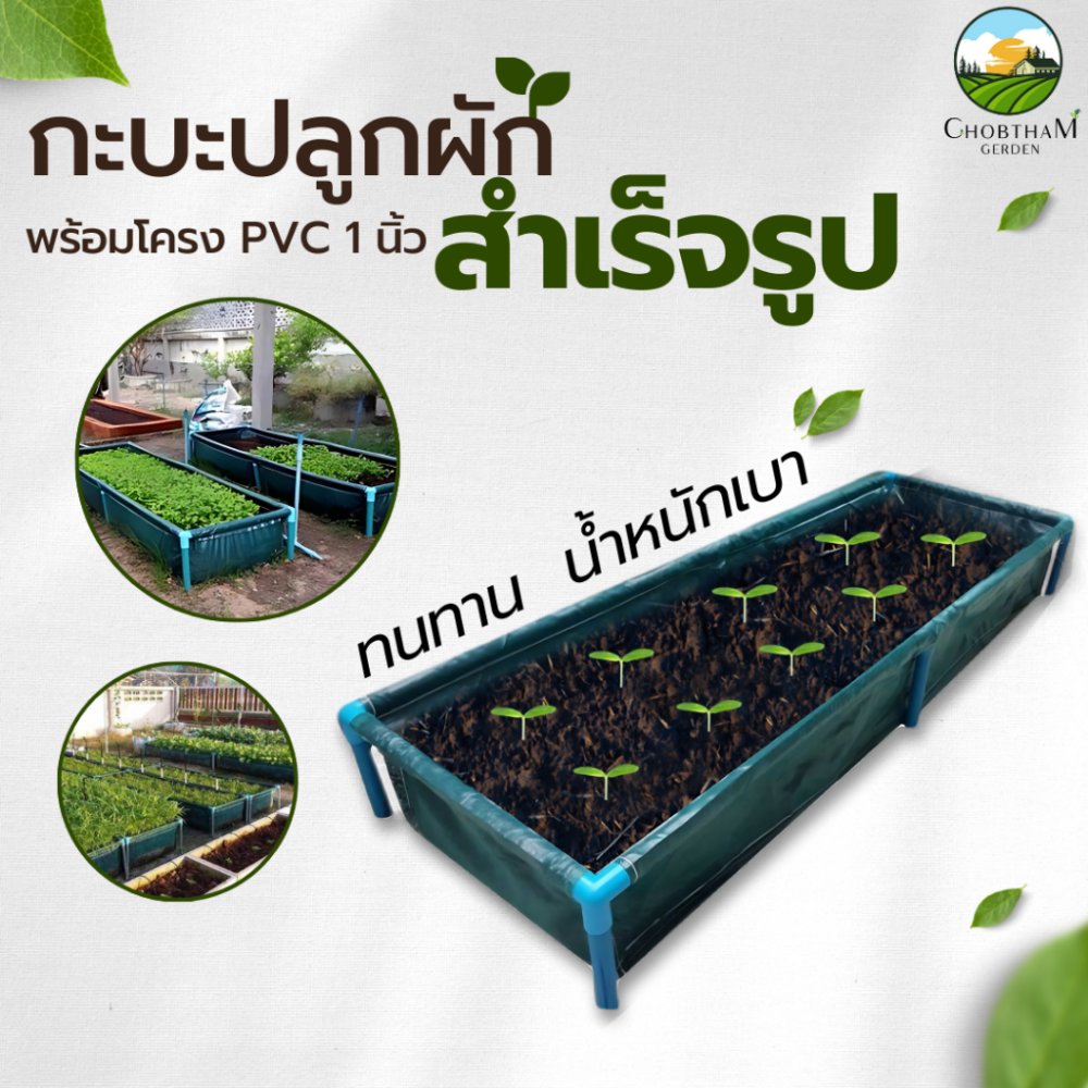 กะบะปลูกผัก แปลงปลูกผัก สำเร็จรูป พร้อมโครง PVC