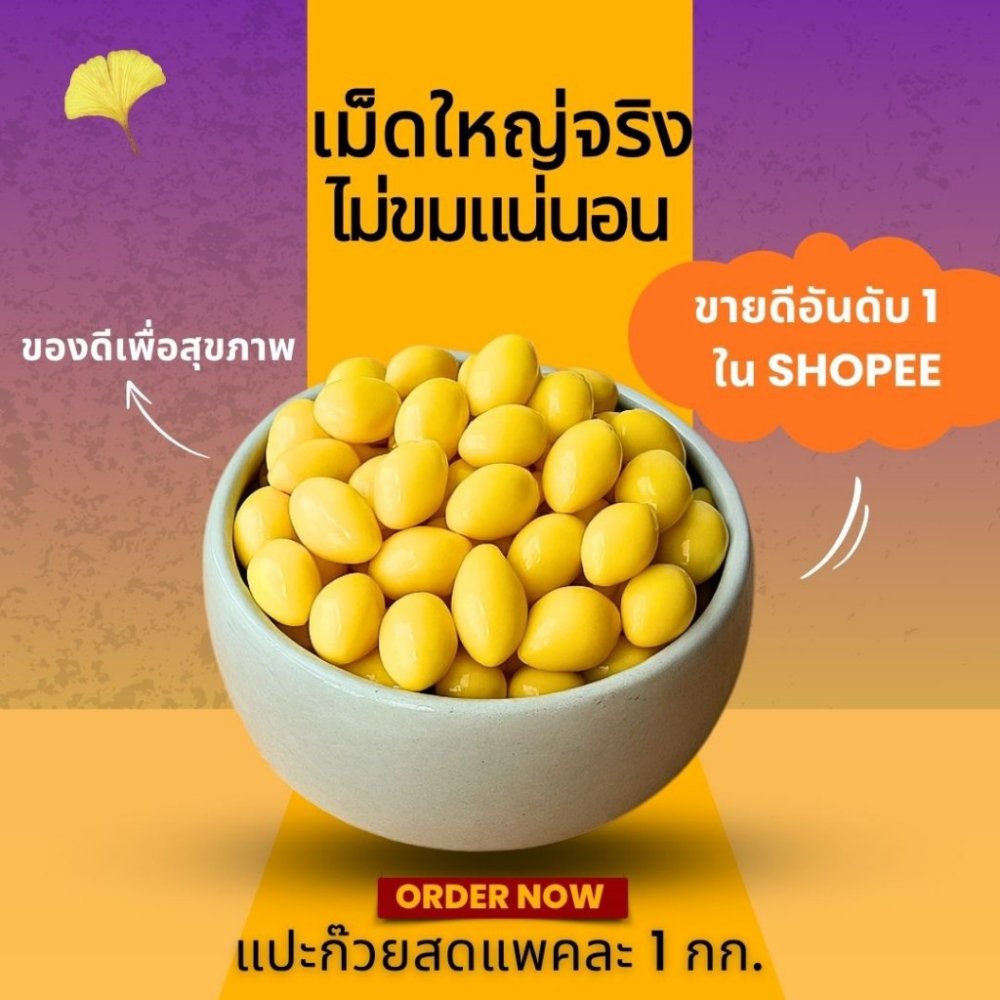 [ของแท้✅️100%] แปะก๊วยสด 1กิโล ราคาส่ง | เม็ดใหญ่ ไม่ดำ | ไม่ต้องแทงไส้ ไม่ขมแม้ไม่ออก | คัดเกรด บำรุงสมอง